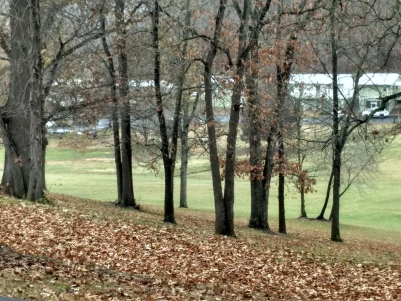 Hillside Cottages Grand Rivers Exterior foto